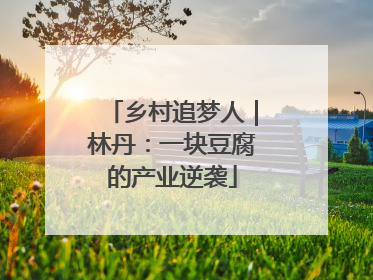 乡村追梦人｜林丹：一块豆腐的产业逆袭